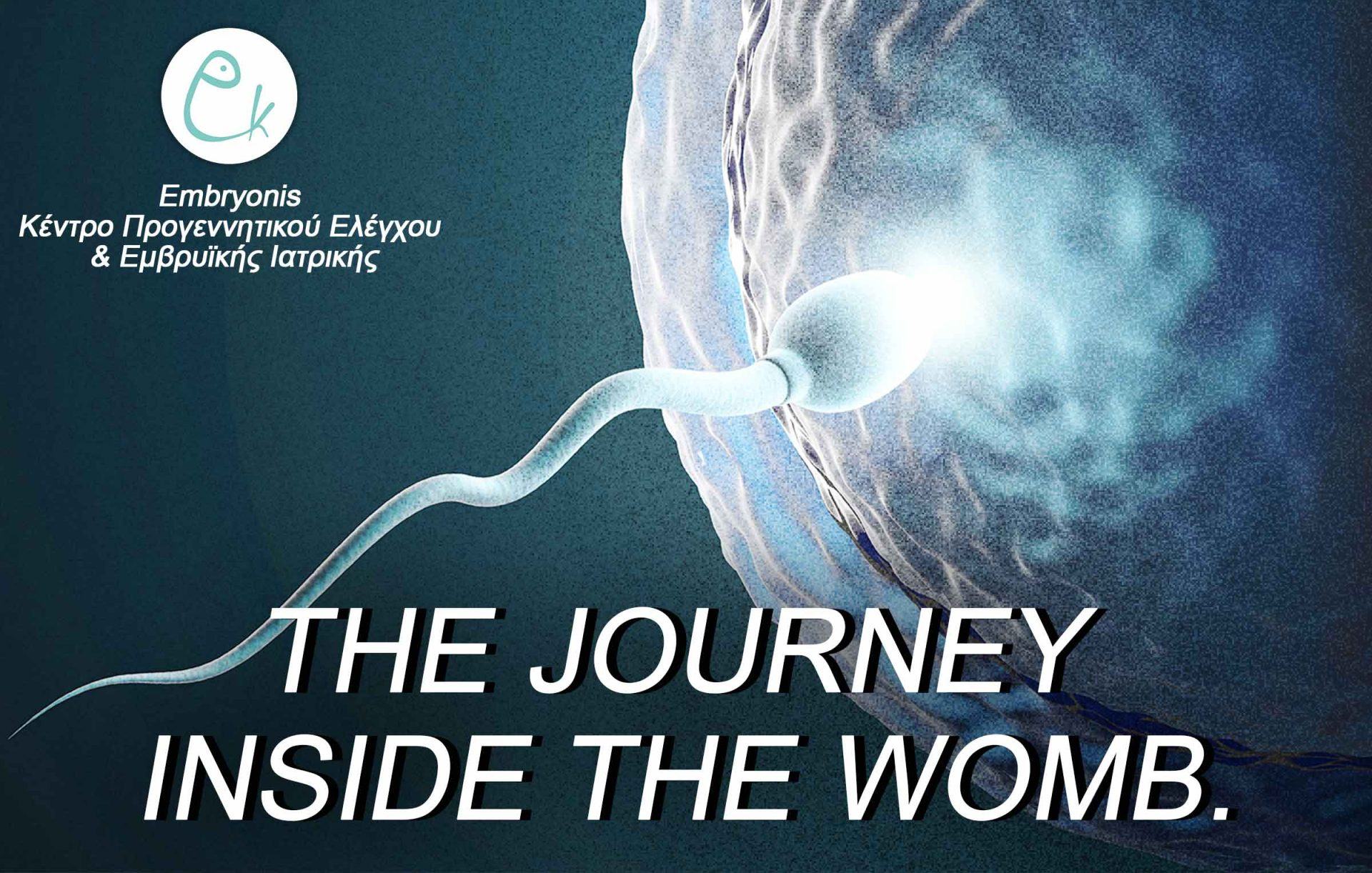 Embryonis – Kέντρο Προγεννητικού Ελέγχου και Εμβρυϊκής Ιατρικής